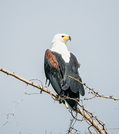20130912_Kenya_0002