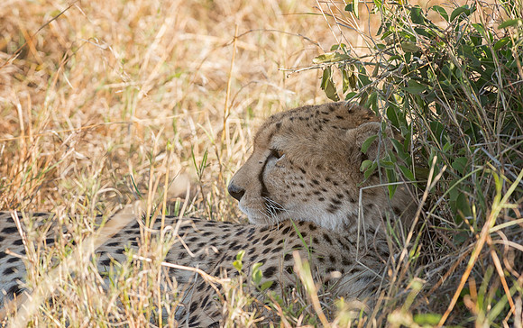 20130913_Kenya_0023-4