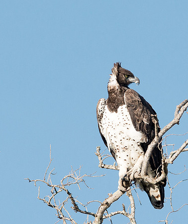 20130914_Kenya_0011-2
