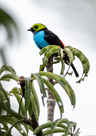 20150116_Ecuador_0010
