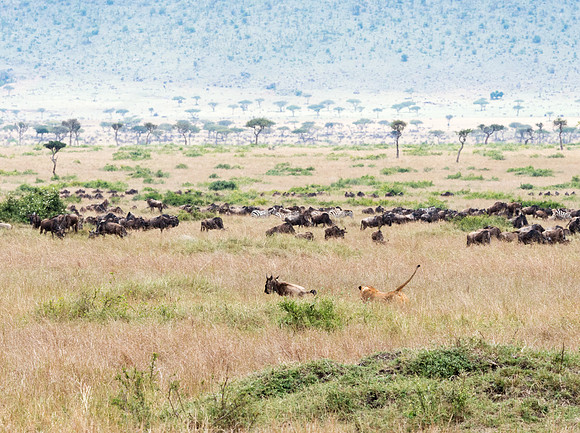 20130919_Kenya_0024