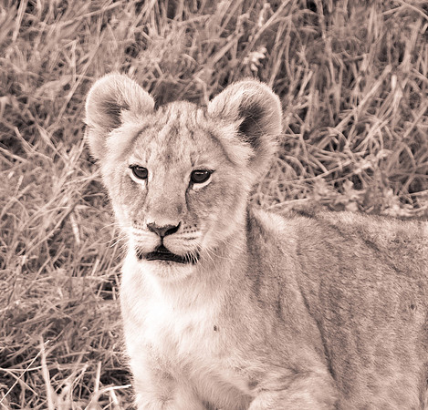 20130919_Kenya_0083
