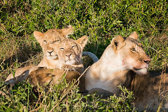 20130913_Kenya_0002-5