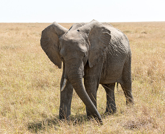 20130915_Kenya_0002