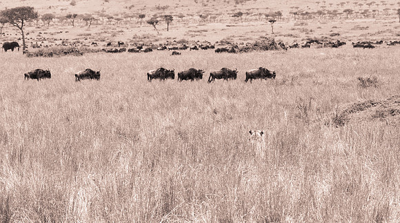 20130919_Kenya_0017