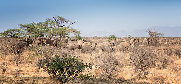 20130908_Kenya_0003