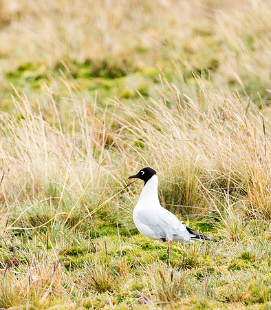 20150109_Ecuador_0037