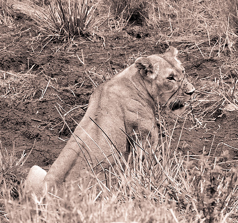 20130919_Kenya_0011