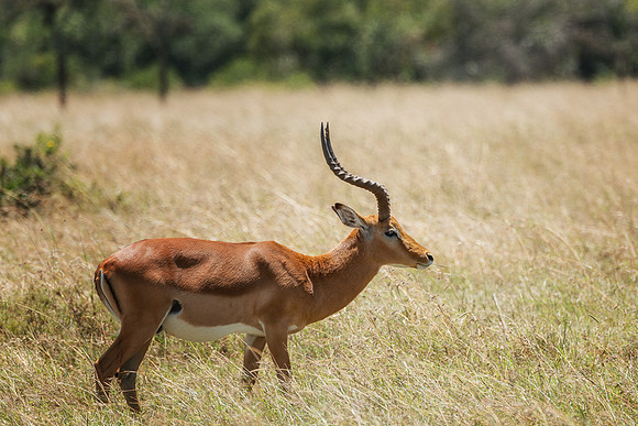 20130907_Kenya_0013