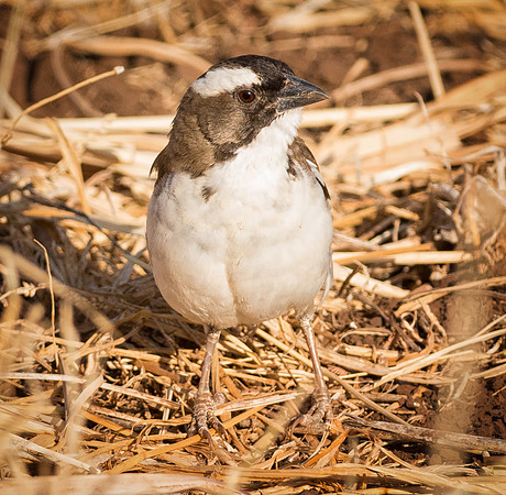 20130908_Kenya_0001