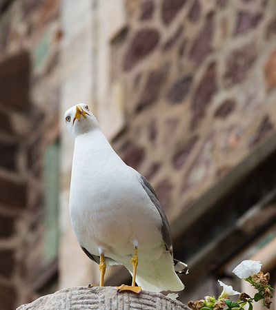 20140624_France_0038
