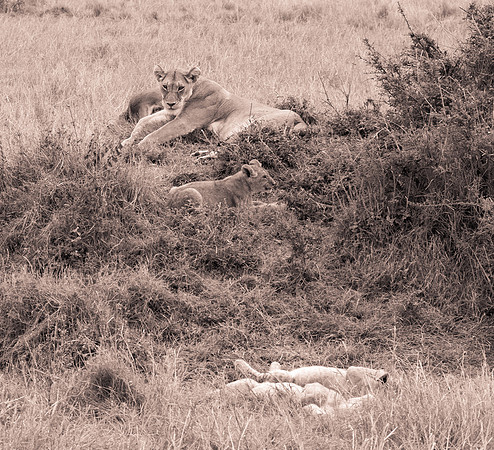 20130919_Kenya_0048