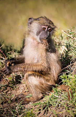 20130911_Portfolio Photos_0018