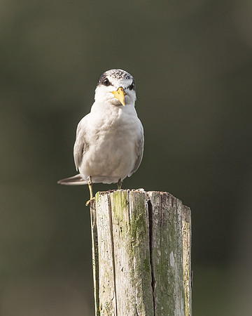 20150115_Ecuador_0001
