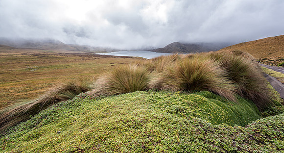 20150109_Ecuador_0031