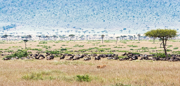 20130919_Kenya_0033