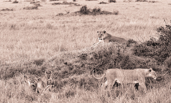 20130919_Kenya_0069