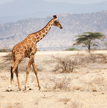 20130908_Kenya_0012