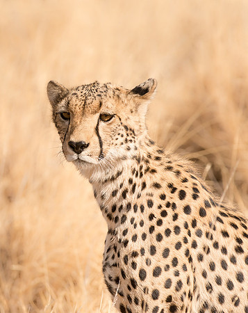20130909_Kenya_0012