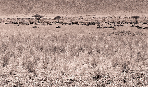 20130919_Kenya_0016