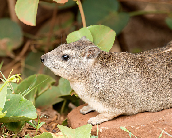 20130919_Kenya_0044