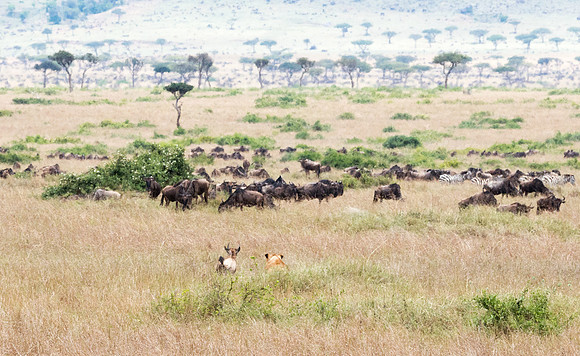 20130919_Kenya_0025