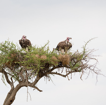 20130918_Kenya_0019