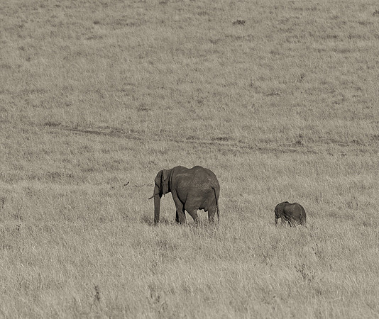 20130916_Kenya_0058