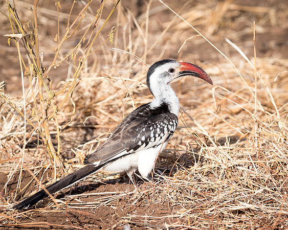 20130908_Kenya_0004-2