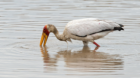 20130918_Kenya_0008