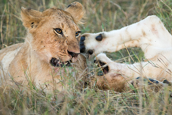 20130913_Kenya_0028-4