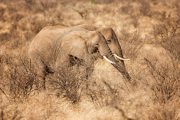 20130908_Kenya_0011