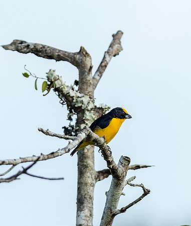 20150117_Ecuador_0001