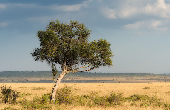 20130915_Kenya_0010
