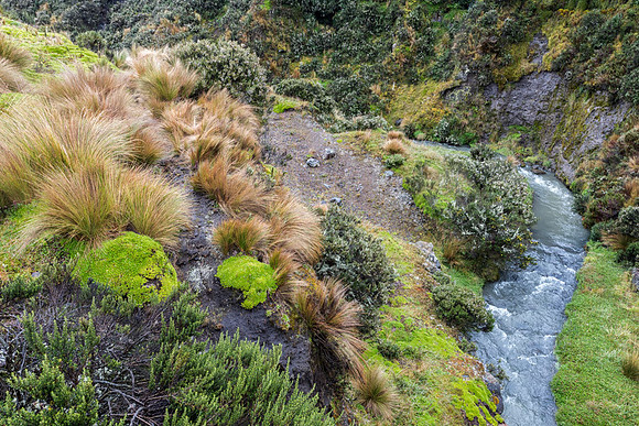 20150109_Ecuador_0001