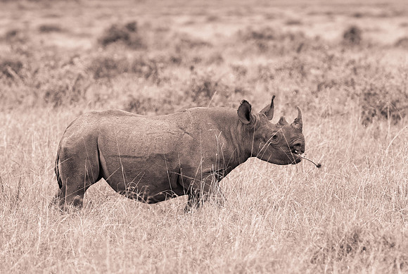 20130919_Kenya_0078