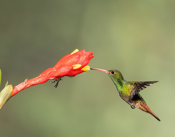 20150106_Ecuador_0001