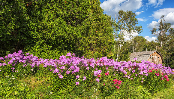 20140820_France_0032