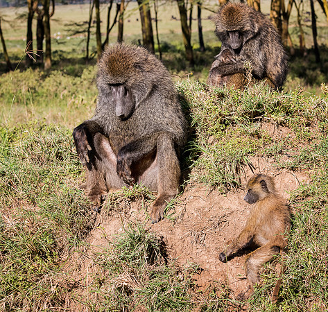20130911_Kenya_0007