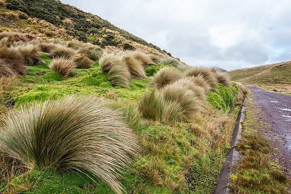 20150109_Ecuador_0029