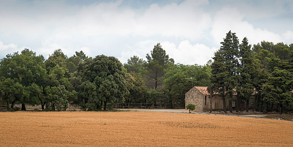 20140625_France_0012