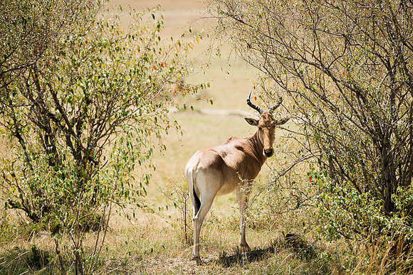 20130916_Kenya_0030