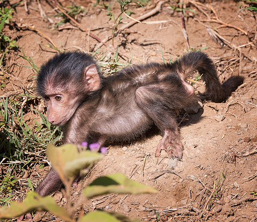 20130911_Kenya_0011
