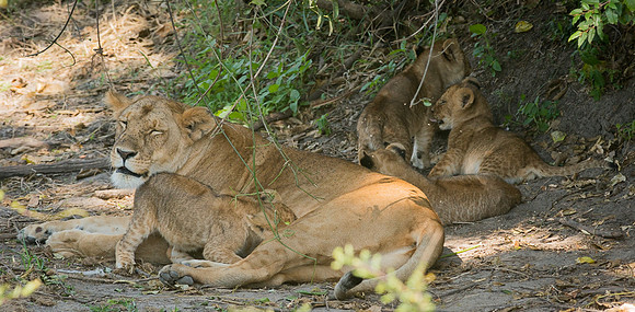20130916_Kenya_0037