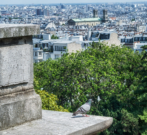 20140618_France_0040