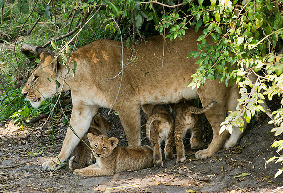 20130916_Kenya_0035