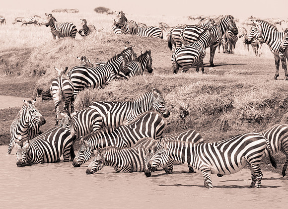 20130919_Kenya_0008