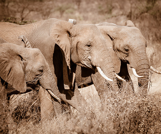 20130908_Kenya_0007