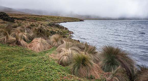 20150109_Ecuador_0034