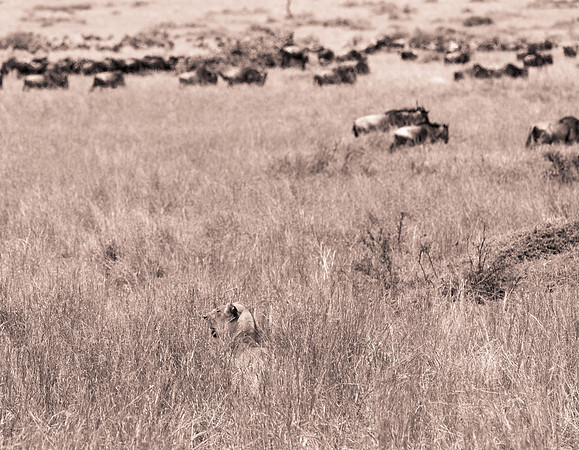 20130919_Kenya_0015